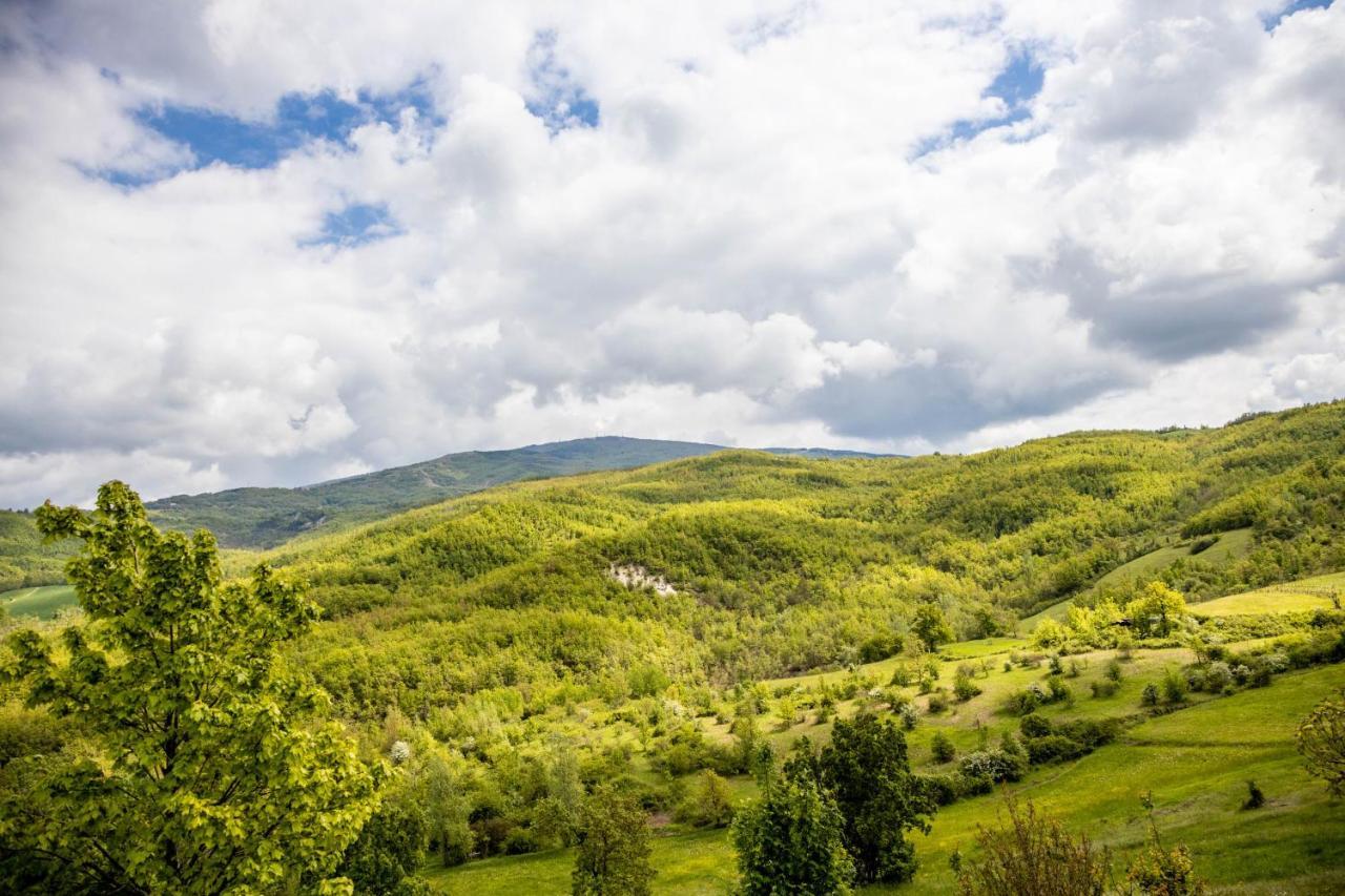 Nido D'Amore Nei Colori Dernice Dış mekan fotoğraf