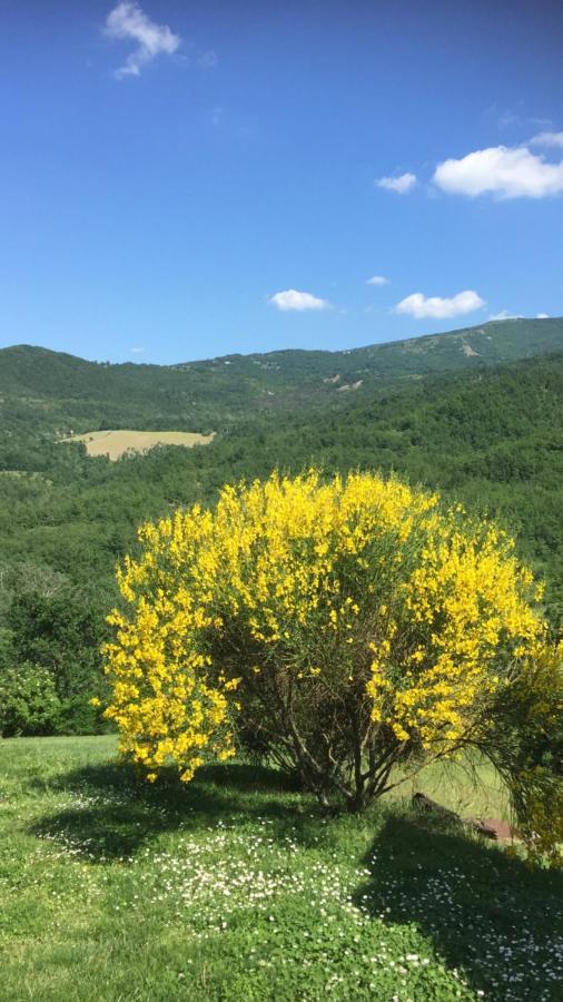 Nido D'Amore Nei Colori Dernice Dış mekan fotoğraf